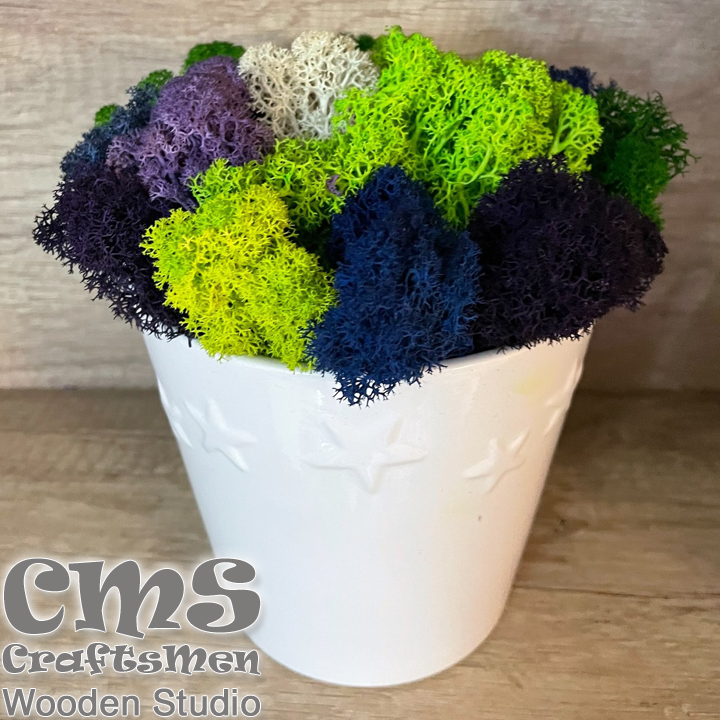 Crafts Men Studio      Stars "White/Green"